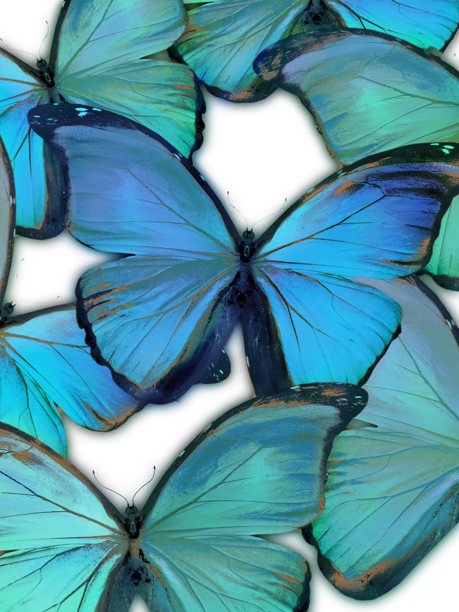 ''Azure & Verdant Butterfly Dance'' Printed Wrapped Canvas